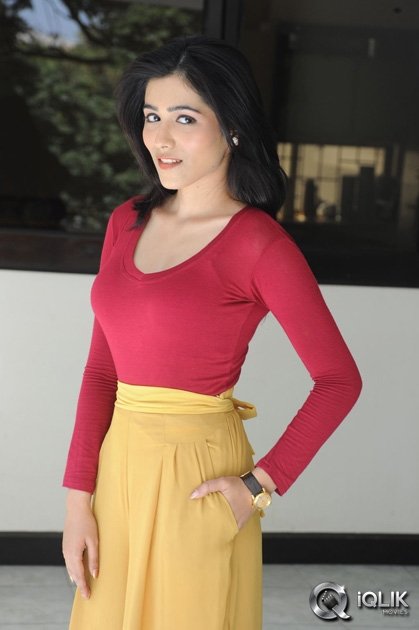 Gazal-Somaiah-at-The-End-Movie-Press-Meet